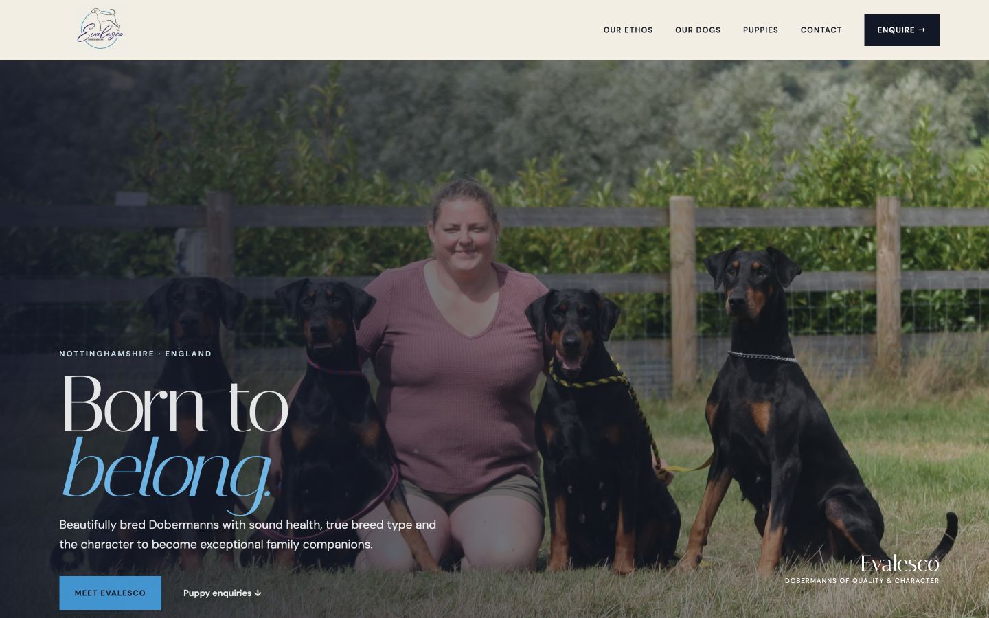 Evalesco Dobermanns draft homepage